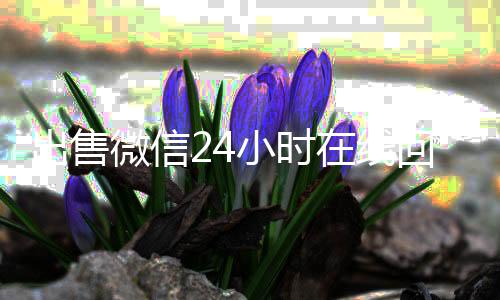 出售微信24小时收vx号在线回收（回收快手号秒结账）